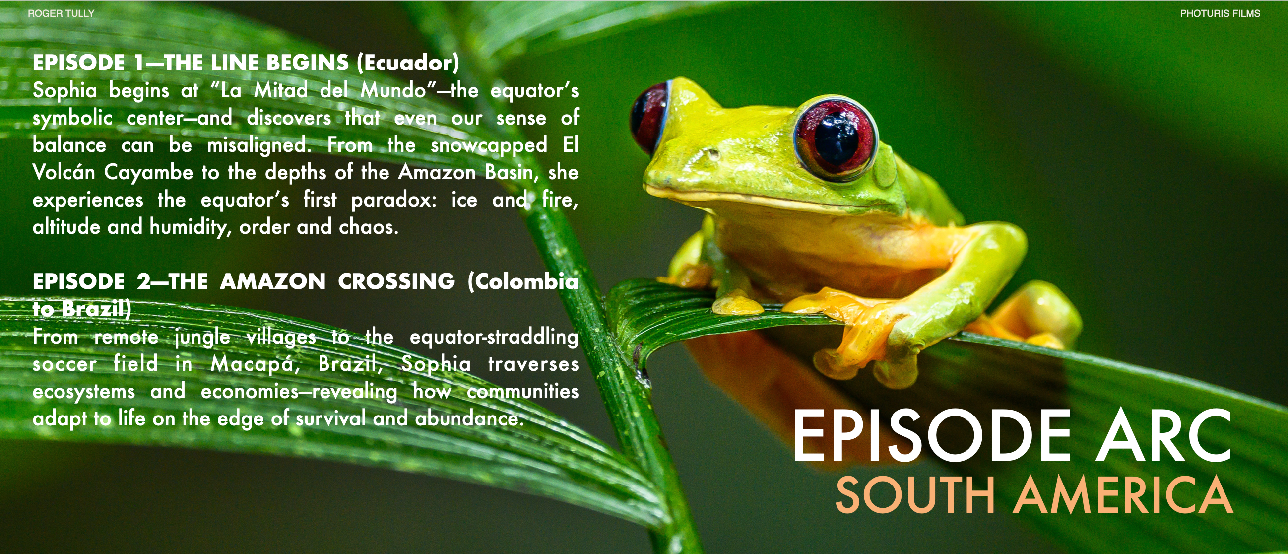 ZL new creative deck 04.png