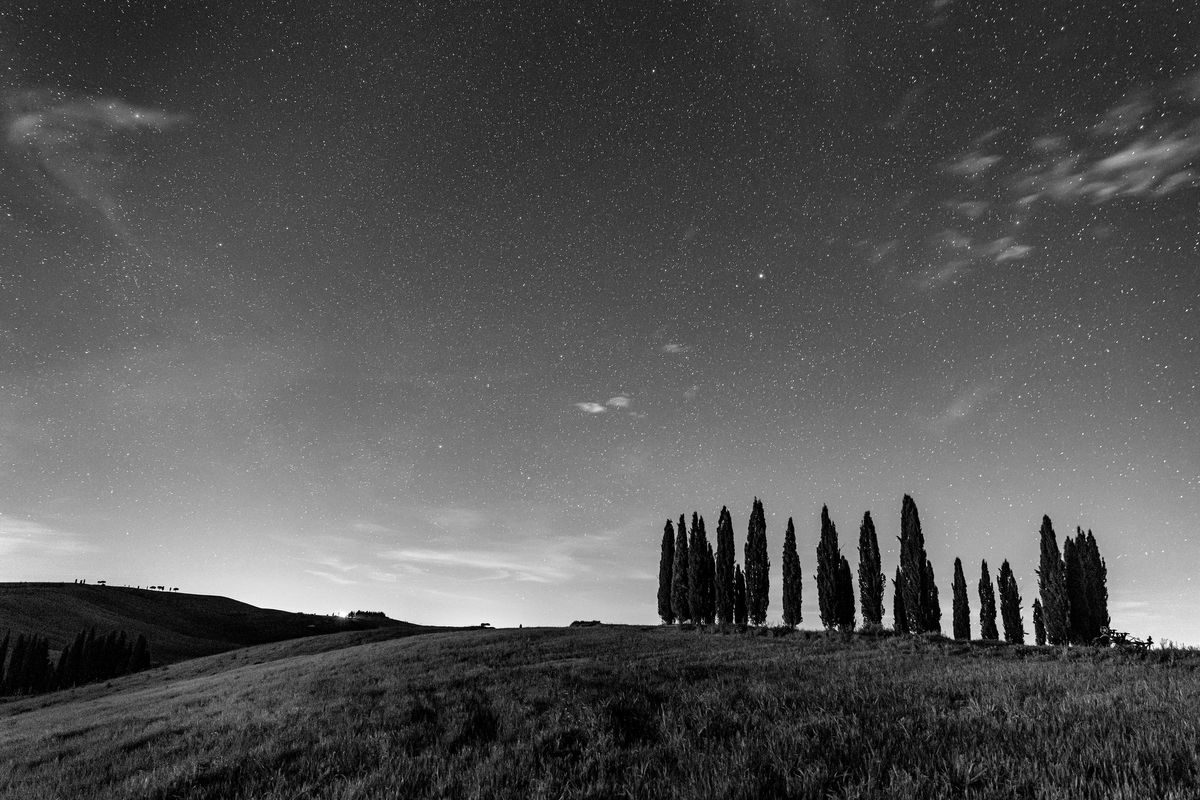 Cipressi di San Quirico d'Orcia