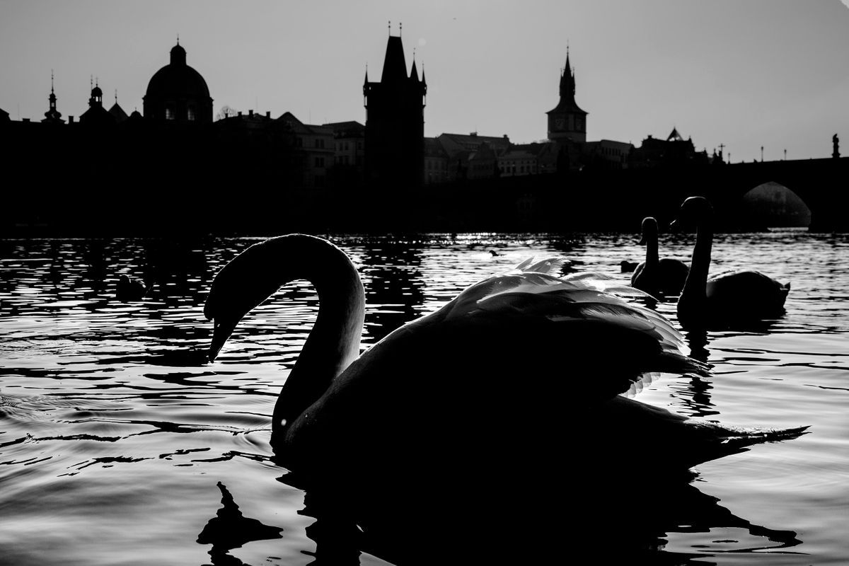 Old Town, Charles Bridge. Prague, Czech Republic