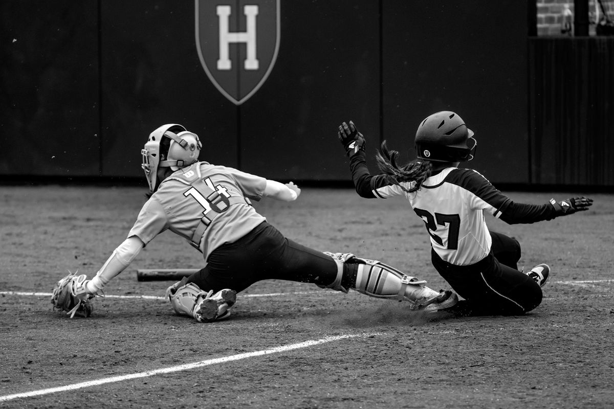 Columbia Lions Softball