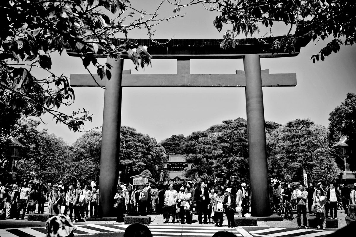 Tsurugaoka Hachimangu Shinto Shrine. Kamakura, Kanagawa, Japan