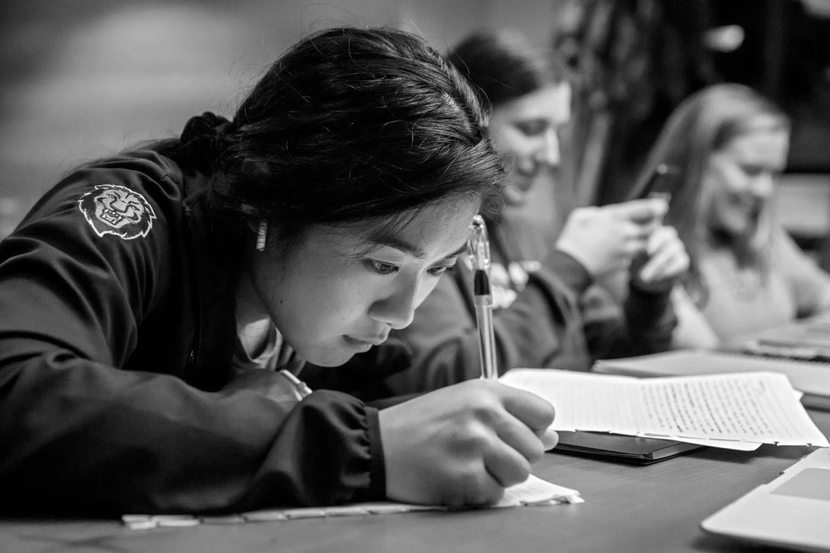Columbia Lions Softball