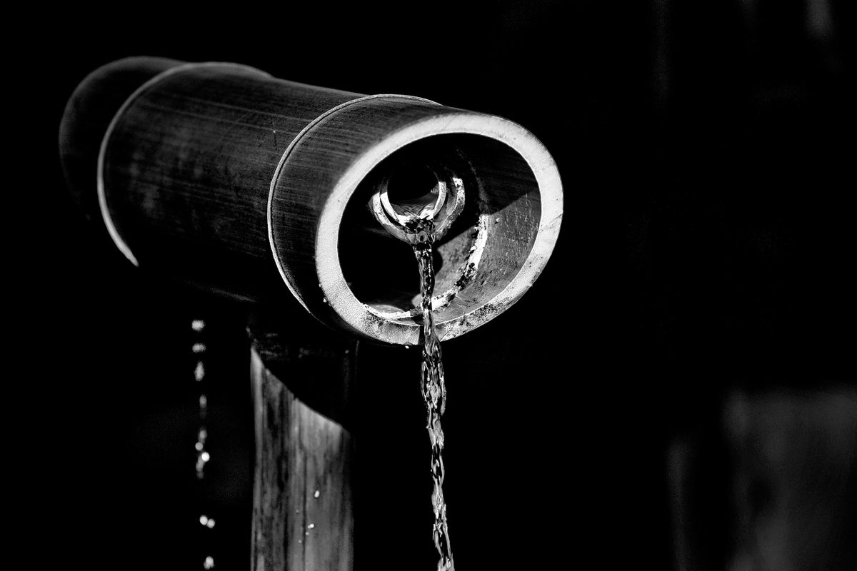 Water Fountain. Meijii Jingu Shinto Shrine. Shibuya, Tokyo, Japan