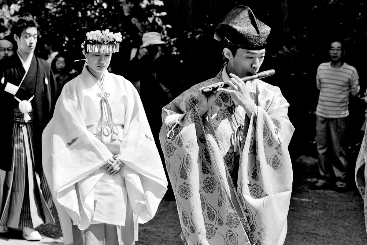 Traditional Shinto Wedding. Tsurugaoka Hachimangu Shinto Shrine. Kamakura, Kanagawa, Japan