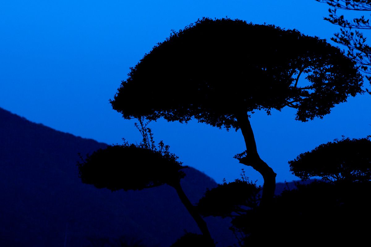 Hakone, Kanagawa Prefecture, Japan