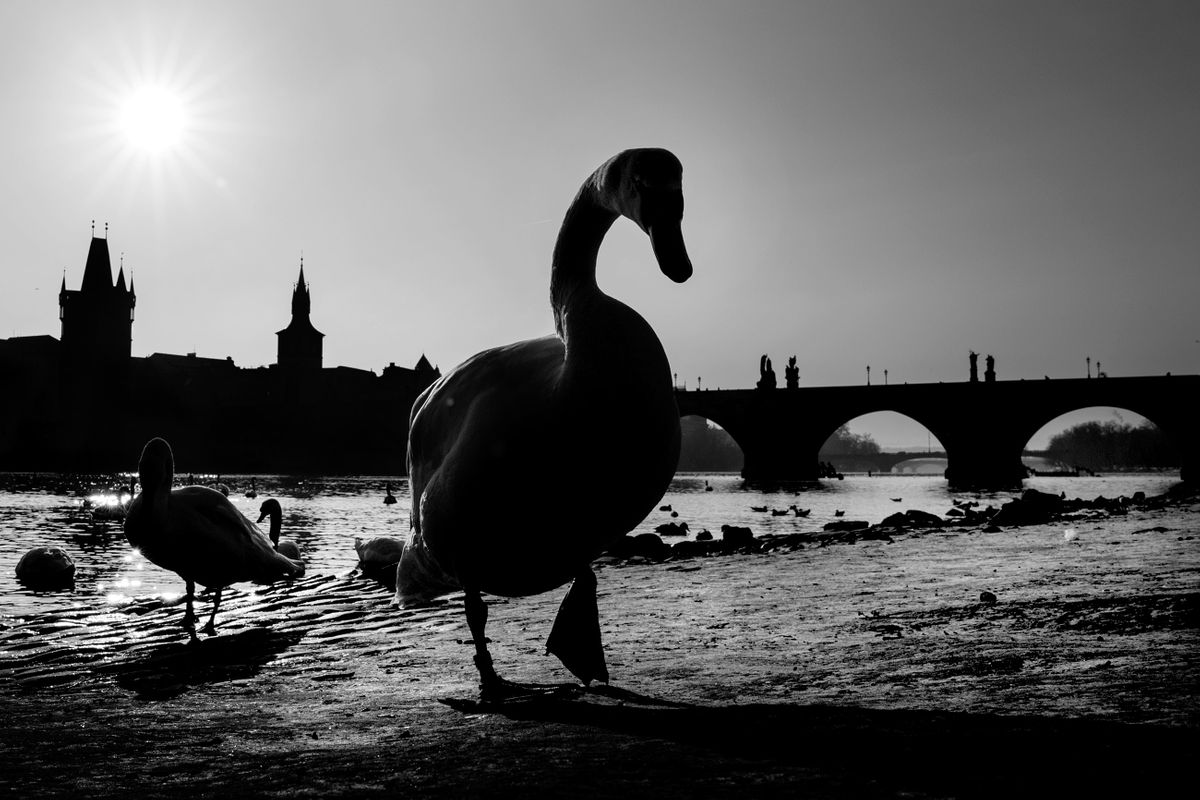 Old Town, Charles Bridge. Prague, Czech Republic