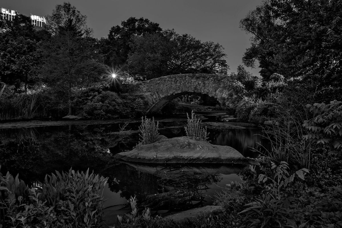 The Pond. Central Park, New York
