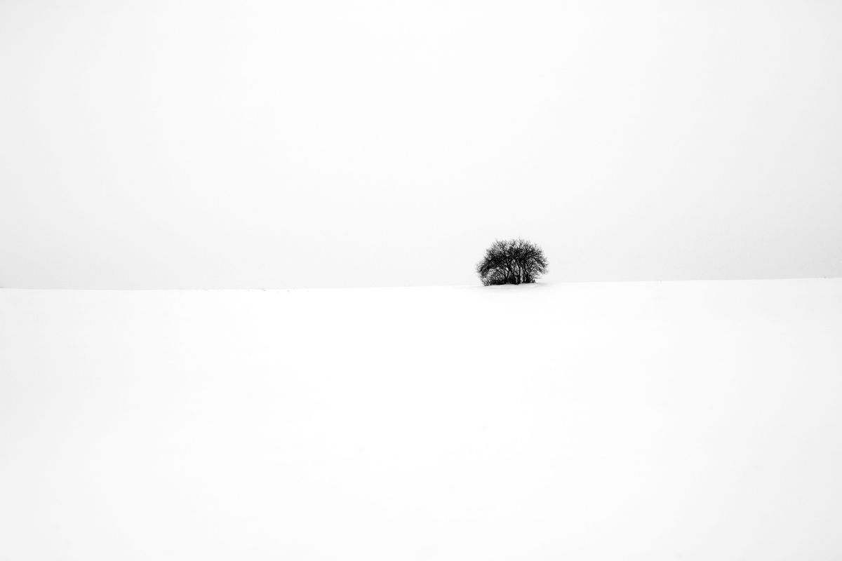Blizzard. Saxony, Germany