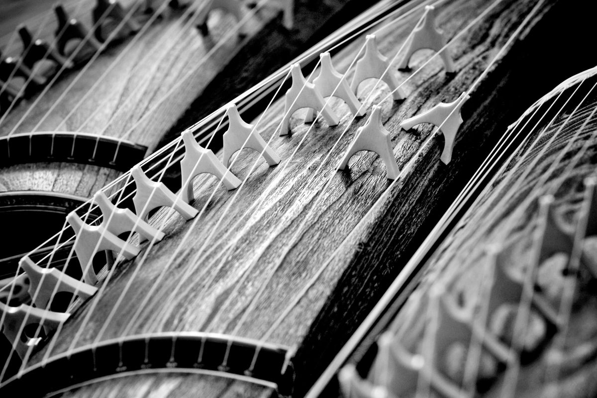 Koto played during the Sankyoku Ensemble performance of the Grand Spring Festival, Meiji Jingu Shinto Shrine. Shibuya, Tokyo, Japan