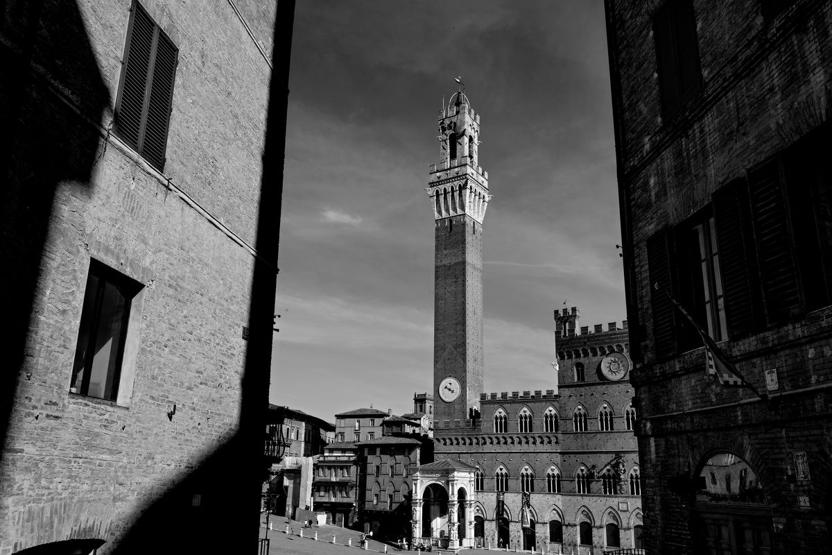 Piazza del Campo, Siena