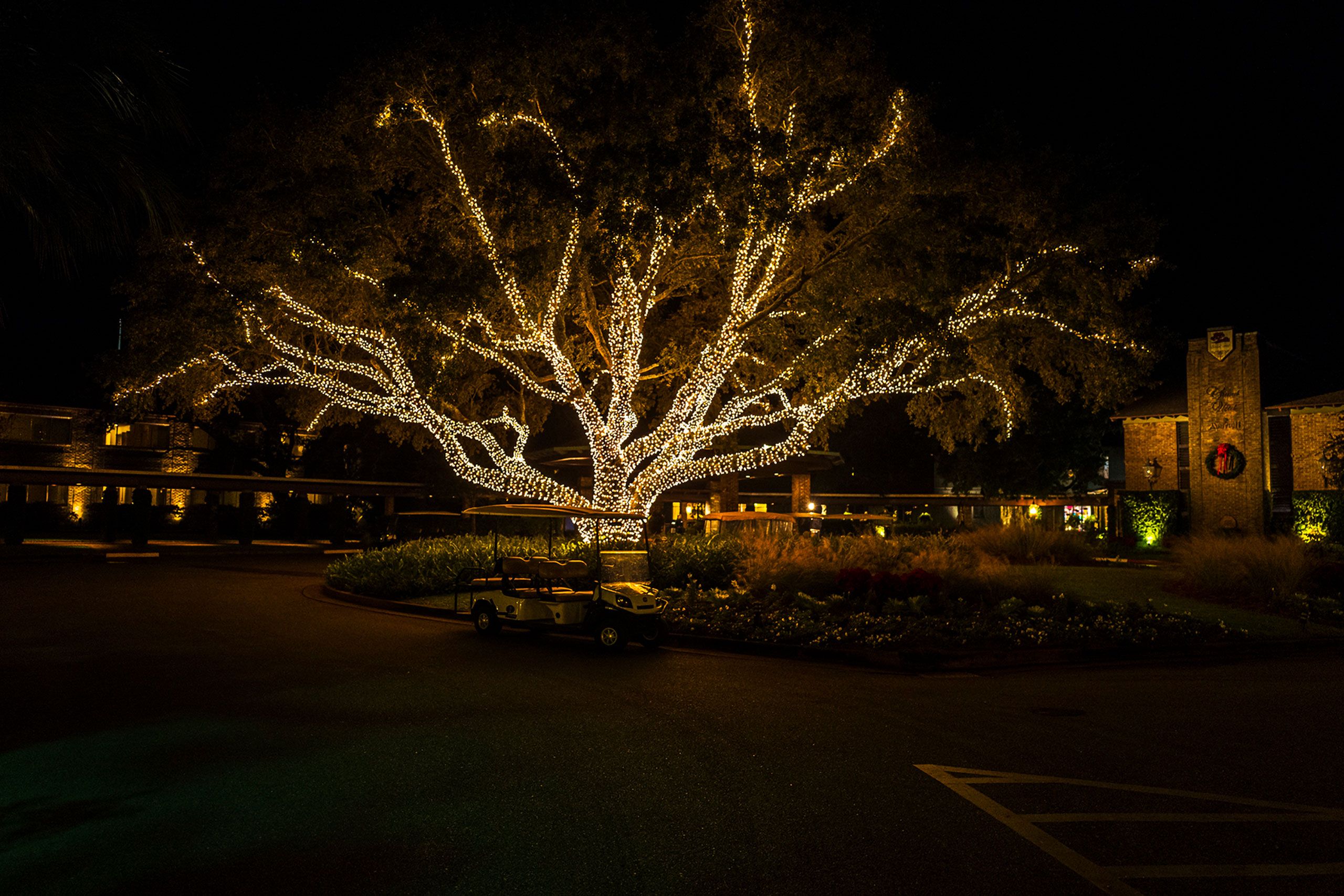 Holiday light on st charle avenue in new Orlando 