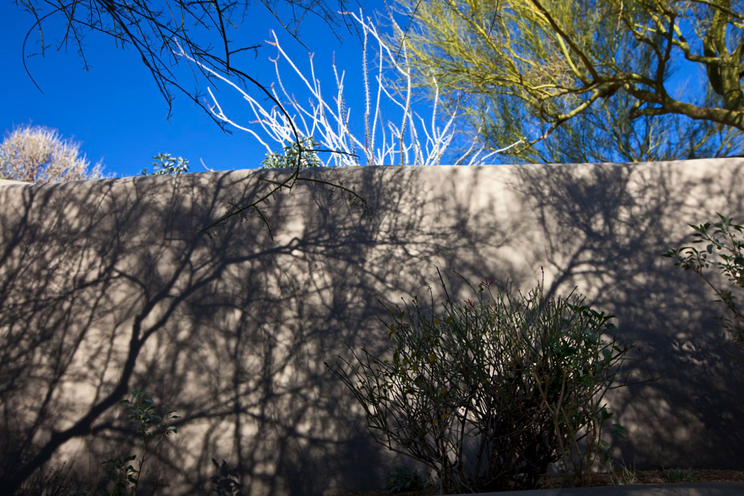 wall Scottsdale Arizona