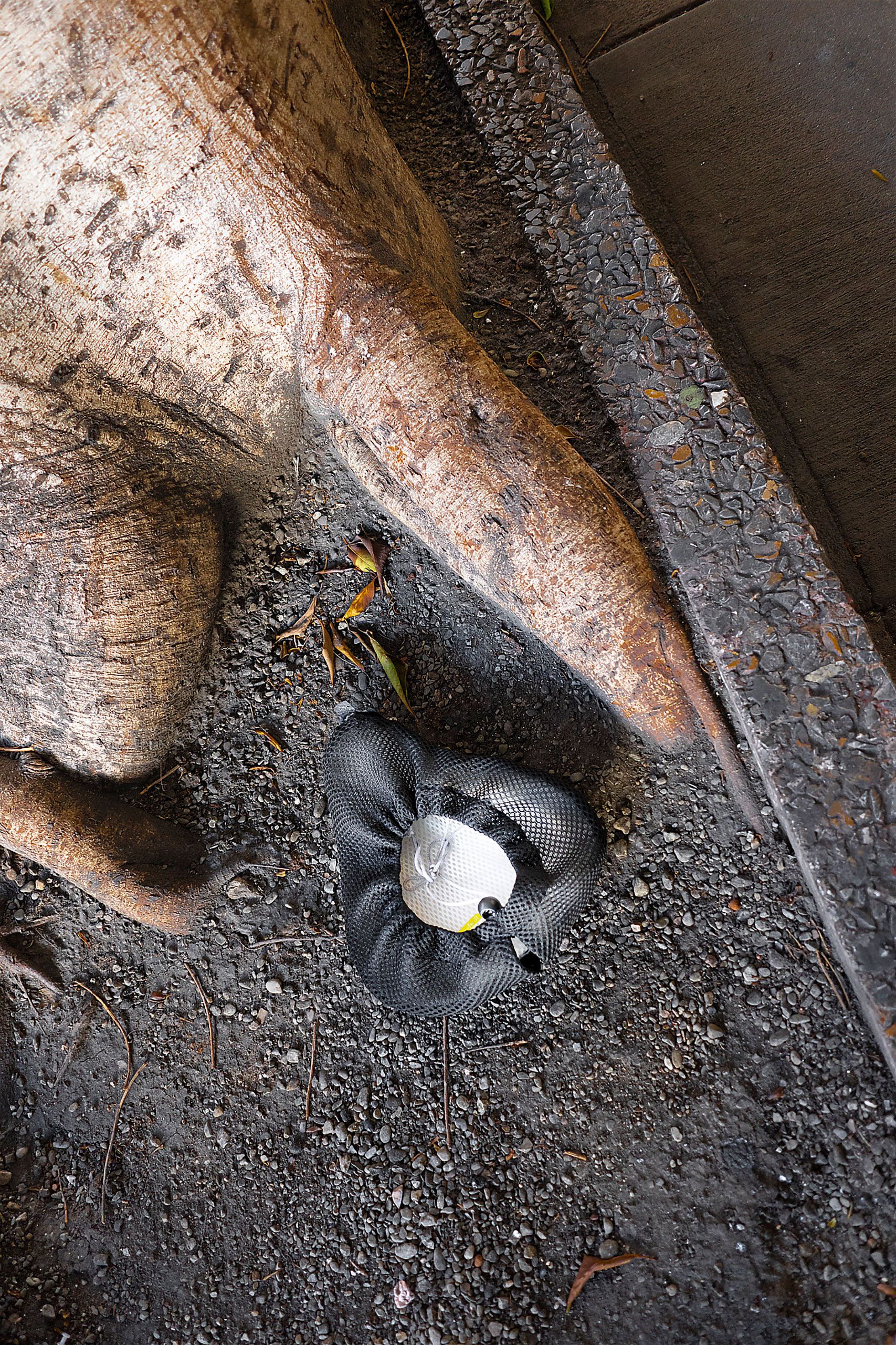 bike seat in San Francisco 