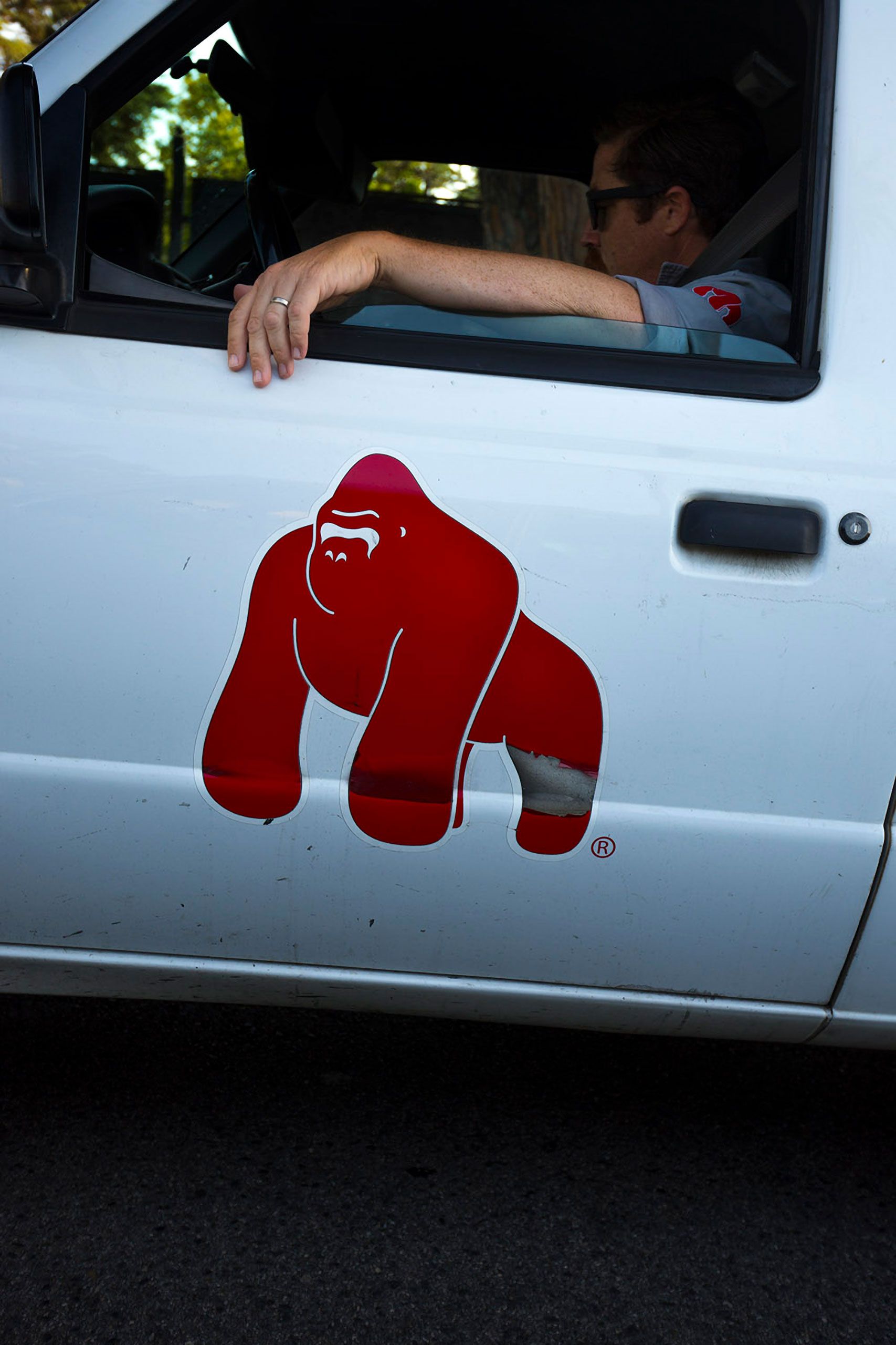 Gorilla on truck door