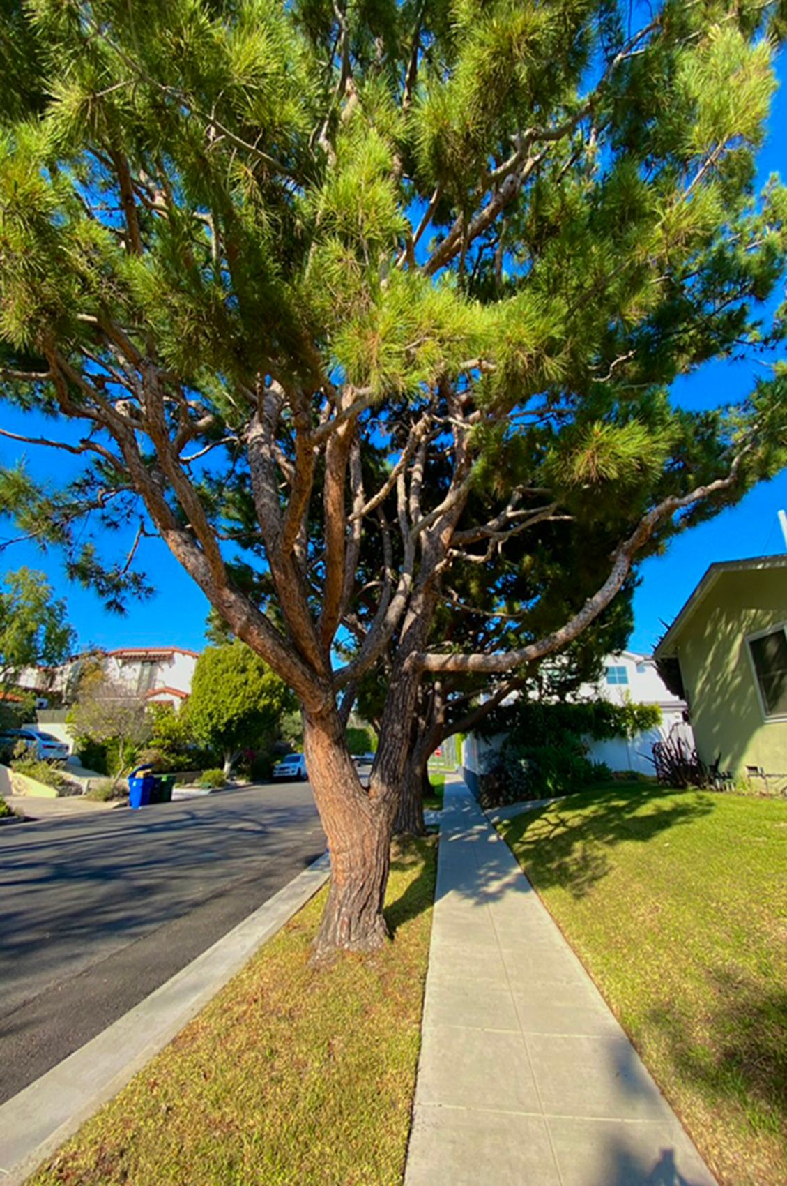 B3AA71DD-082A-4902-89C7-A08A93B08943_1_105_c copy.jpg