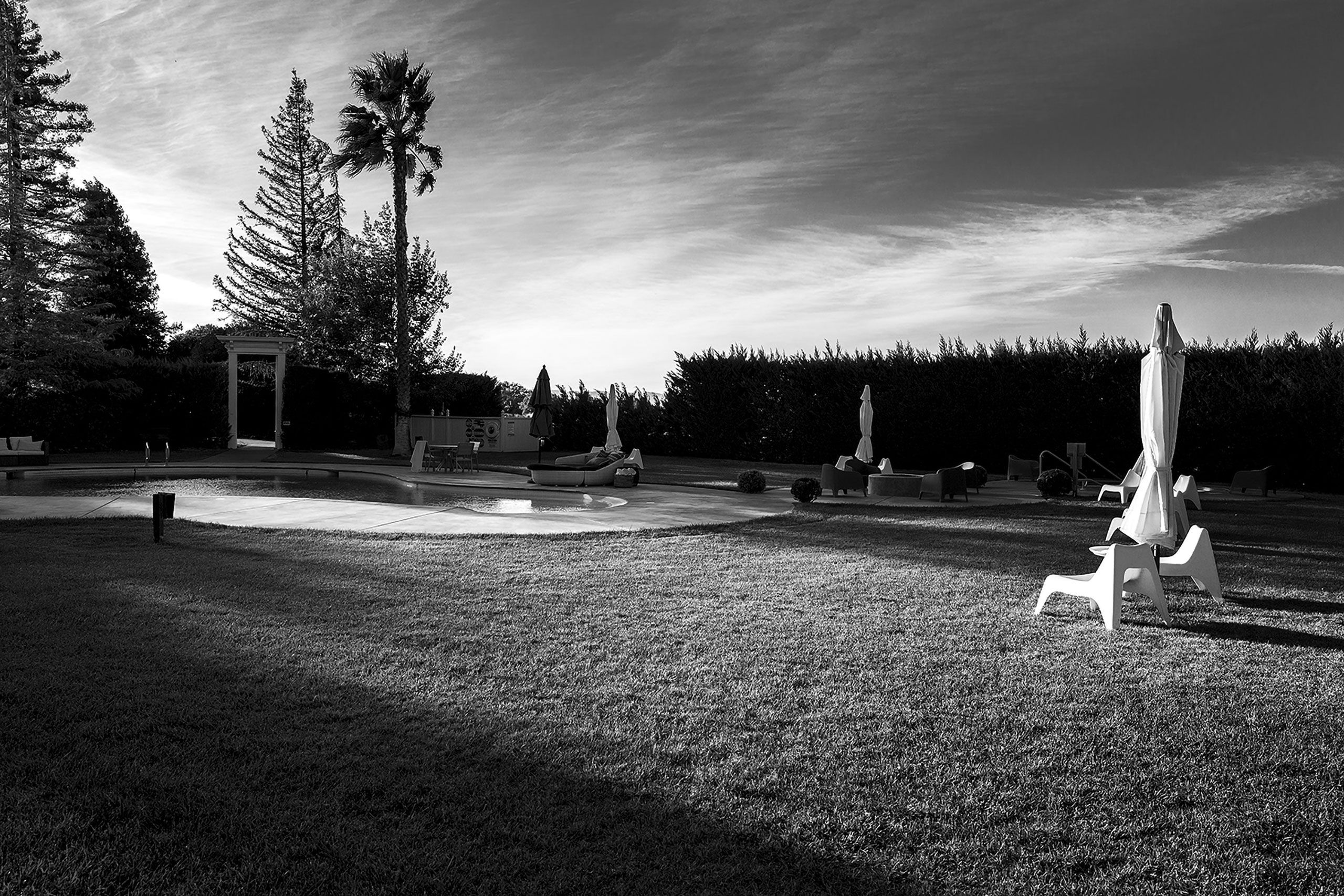 yard out back Park Winters