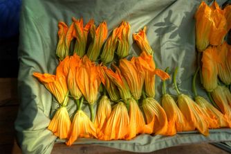 Squash blossoms Blue berries farmers  market Portland Maine