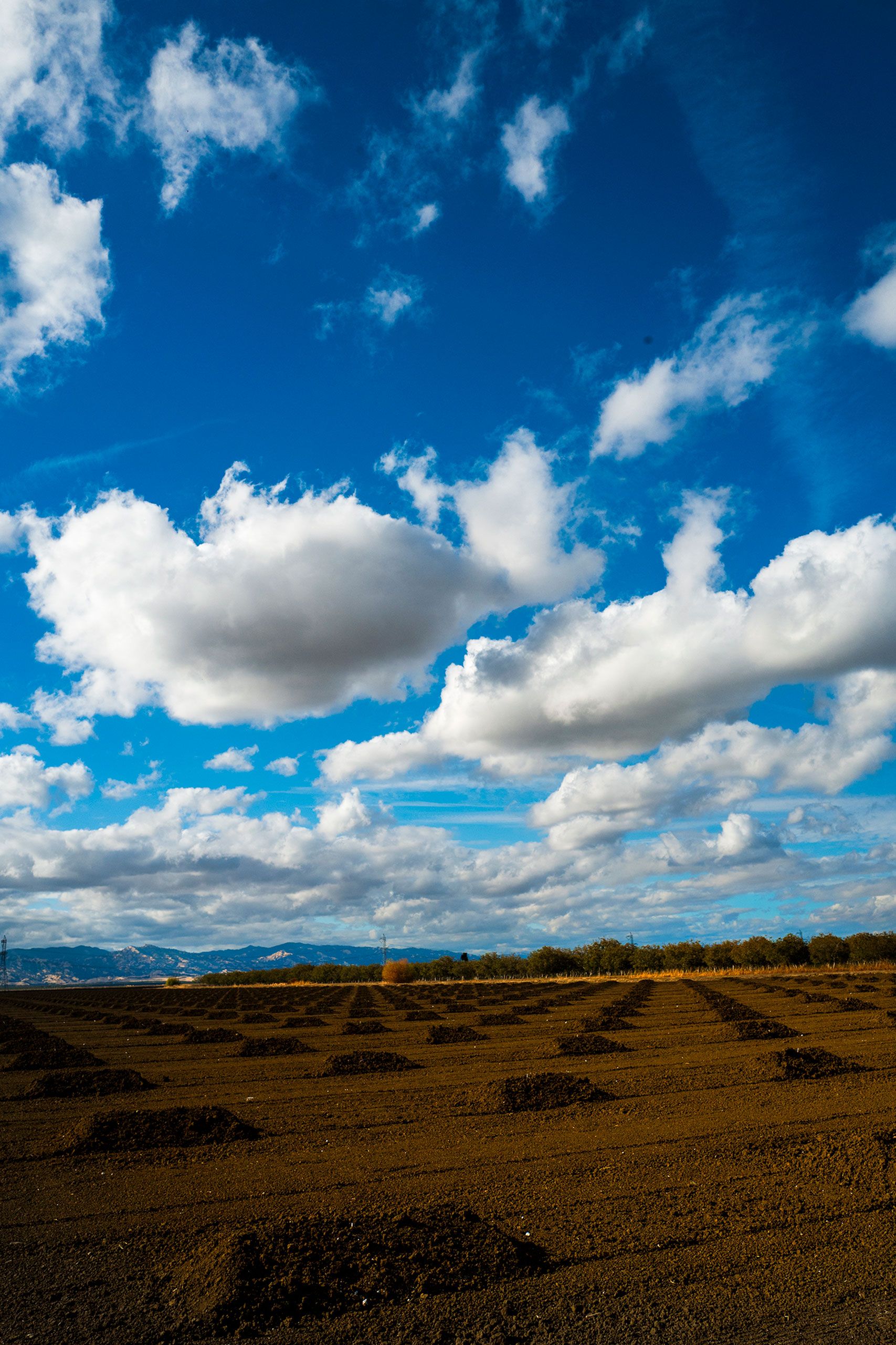Spring sky clouds and vaca mountains woodland claforina 