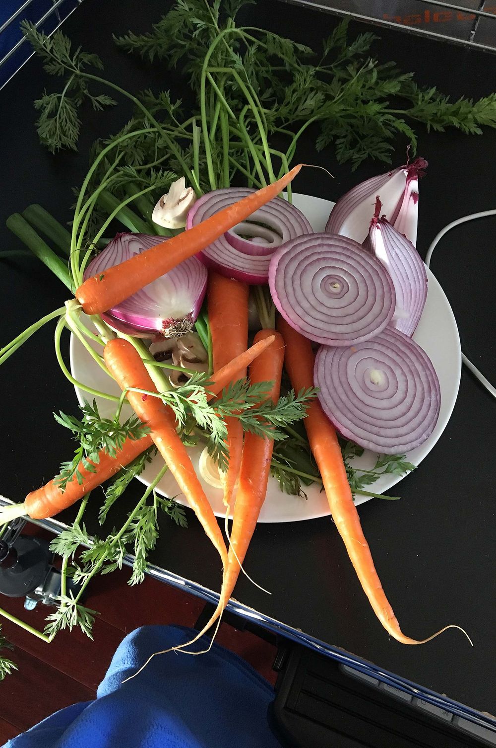 Sliced up onions and carrots on a photo set