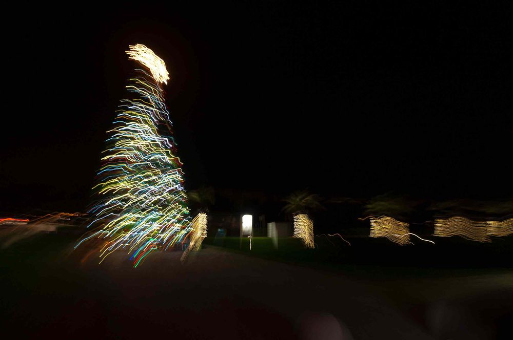 Christmas tree at rosemary beach floradia 
