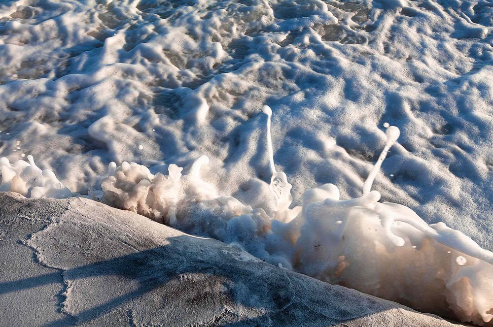 Alien antennas splashed up in the surf at a retaining wall. Happens all the time. I know, right?