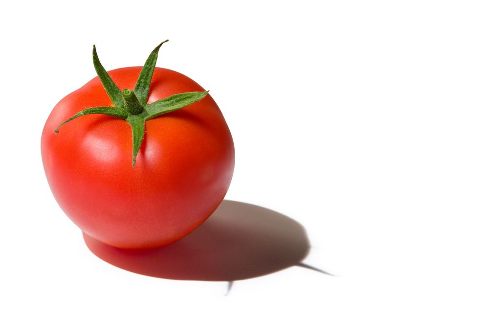 Tomato photogrpah for Hannaford Trucing