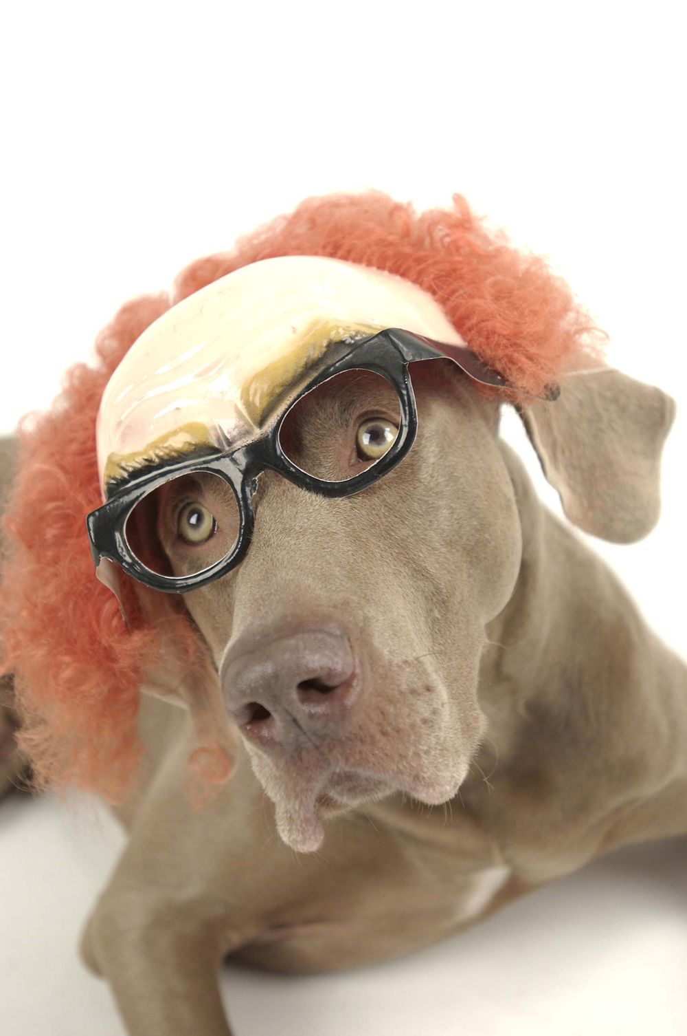 weinheimer in warren roos photo studfio