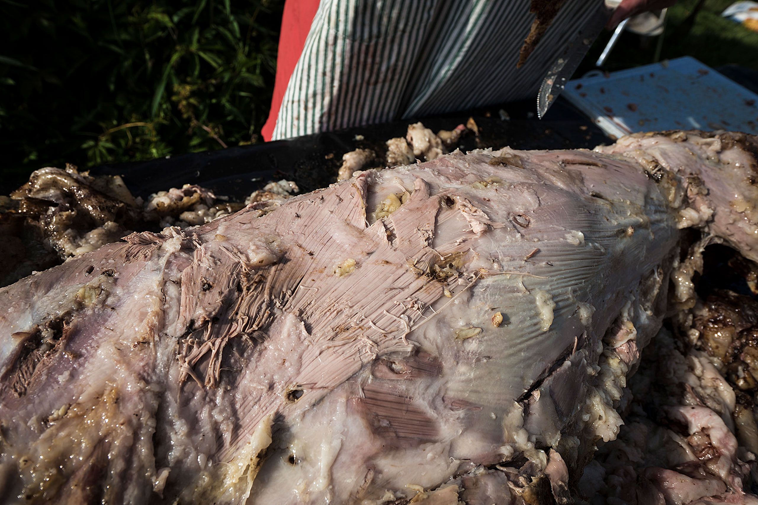 Roast pig all done cape elizabeth maine