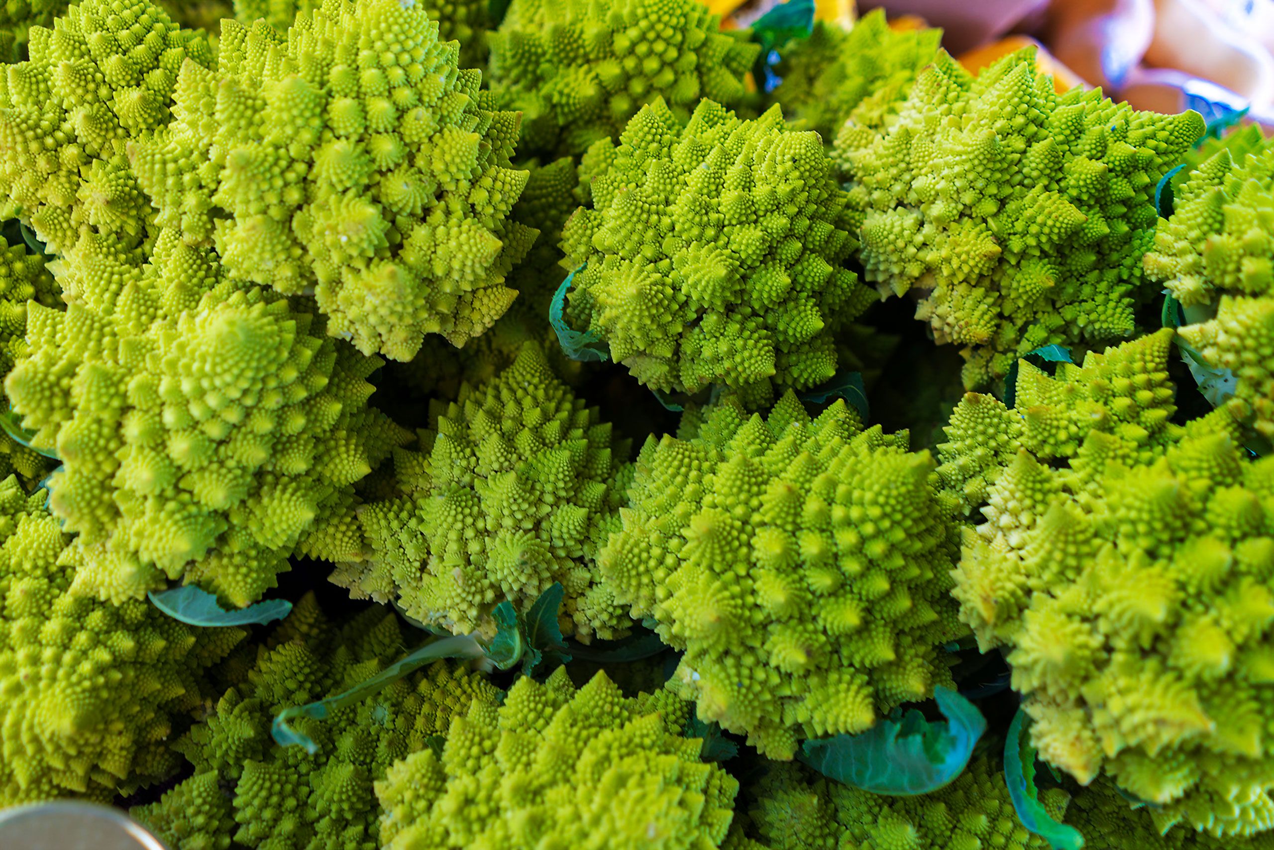 romanesco' Davis Californina faremers market