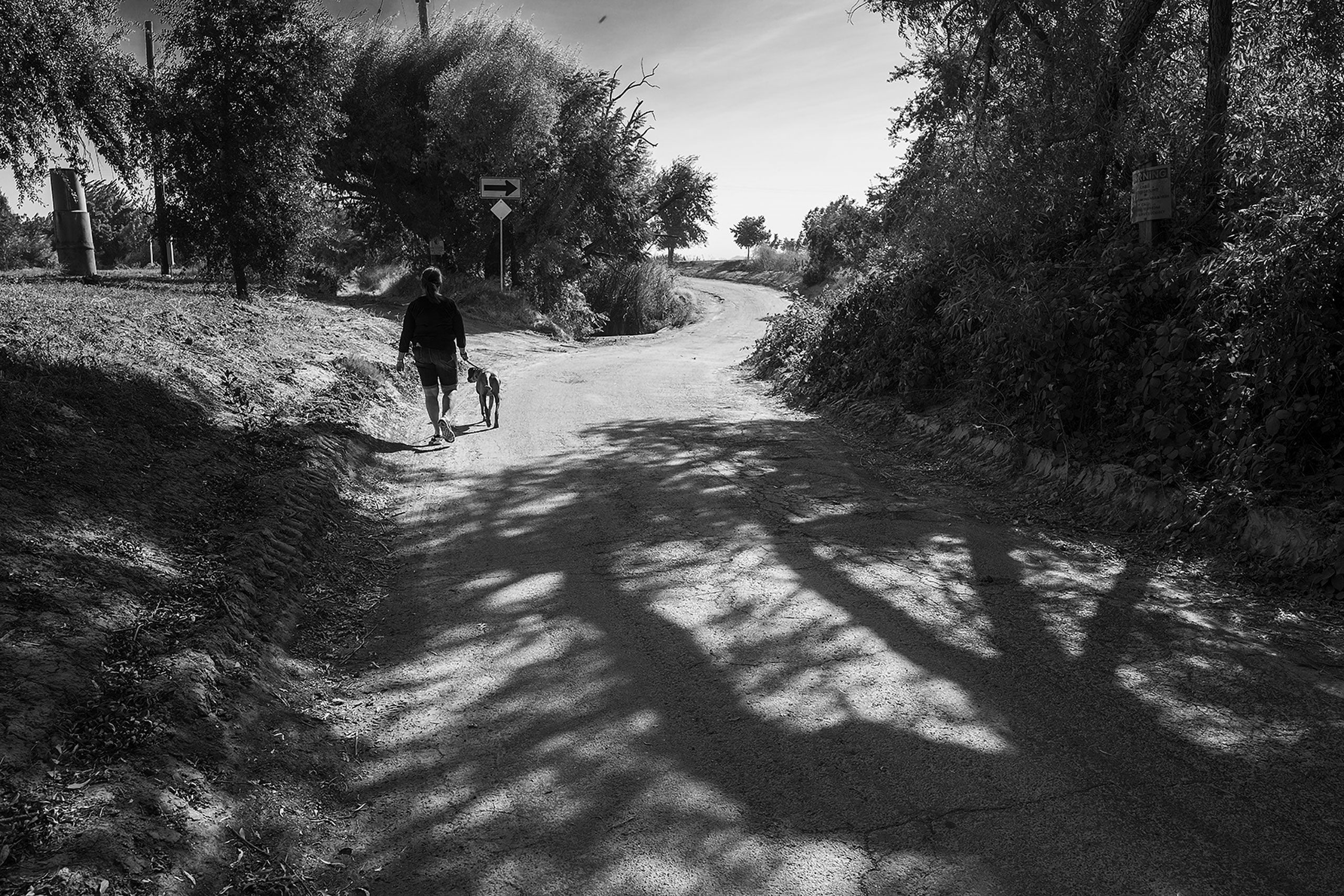 B&W walking the dog Road 30 Davis California 