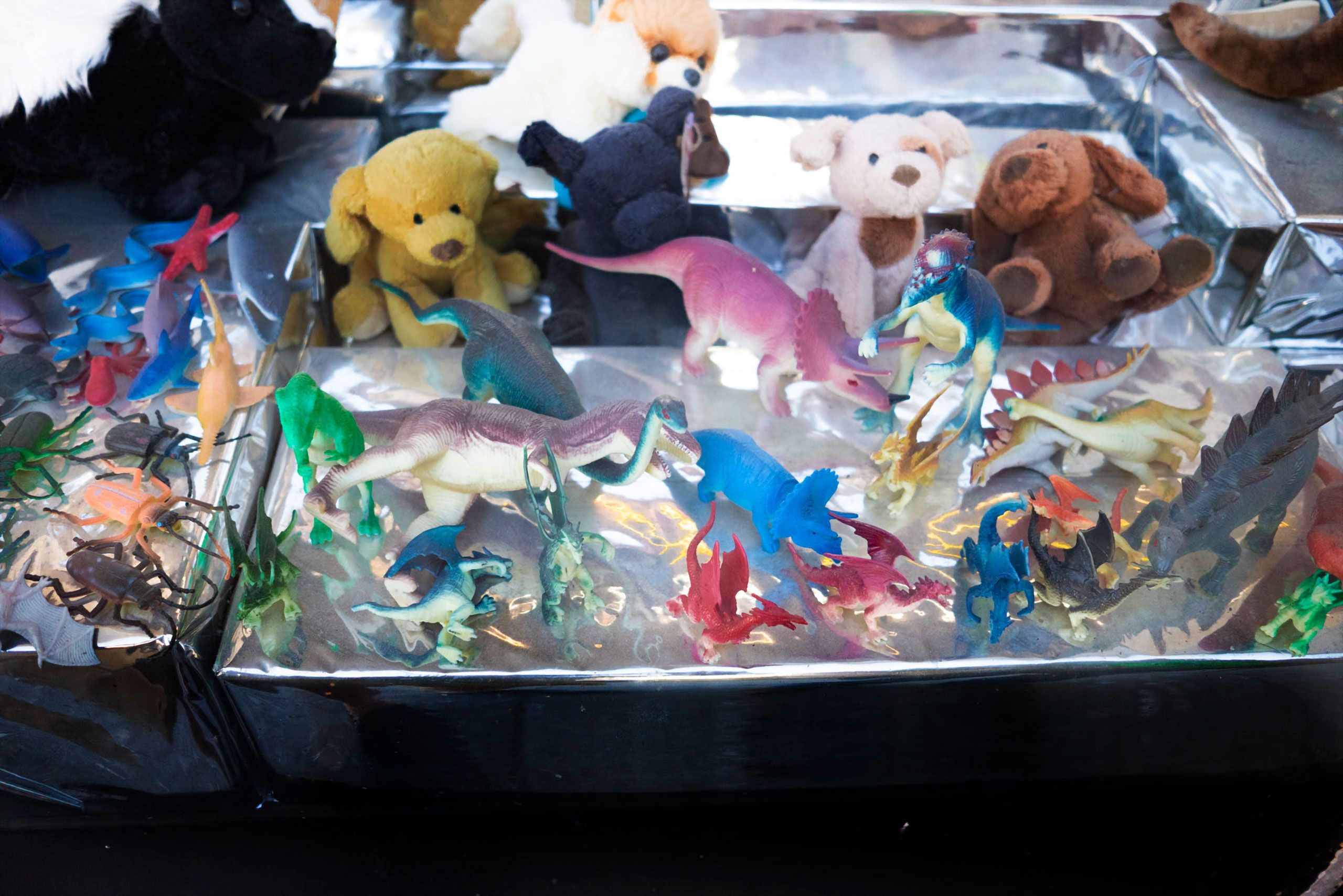 Store window display plastic bugs dinosaurs little dogs San Francisco 