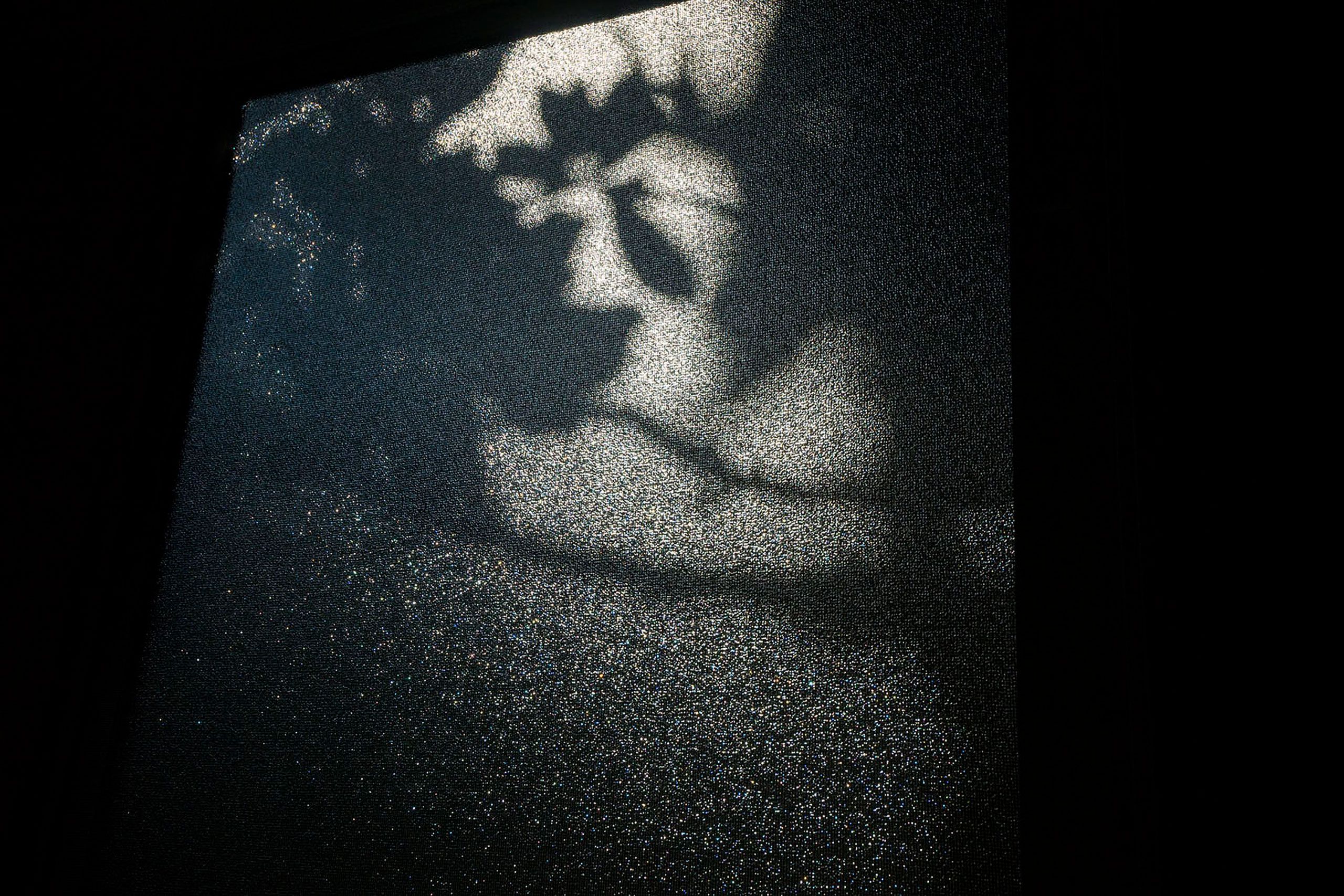 Leaf shadows on frosted glass Santa Rosa Beach Florida blue mountain 