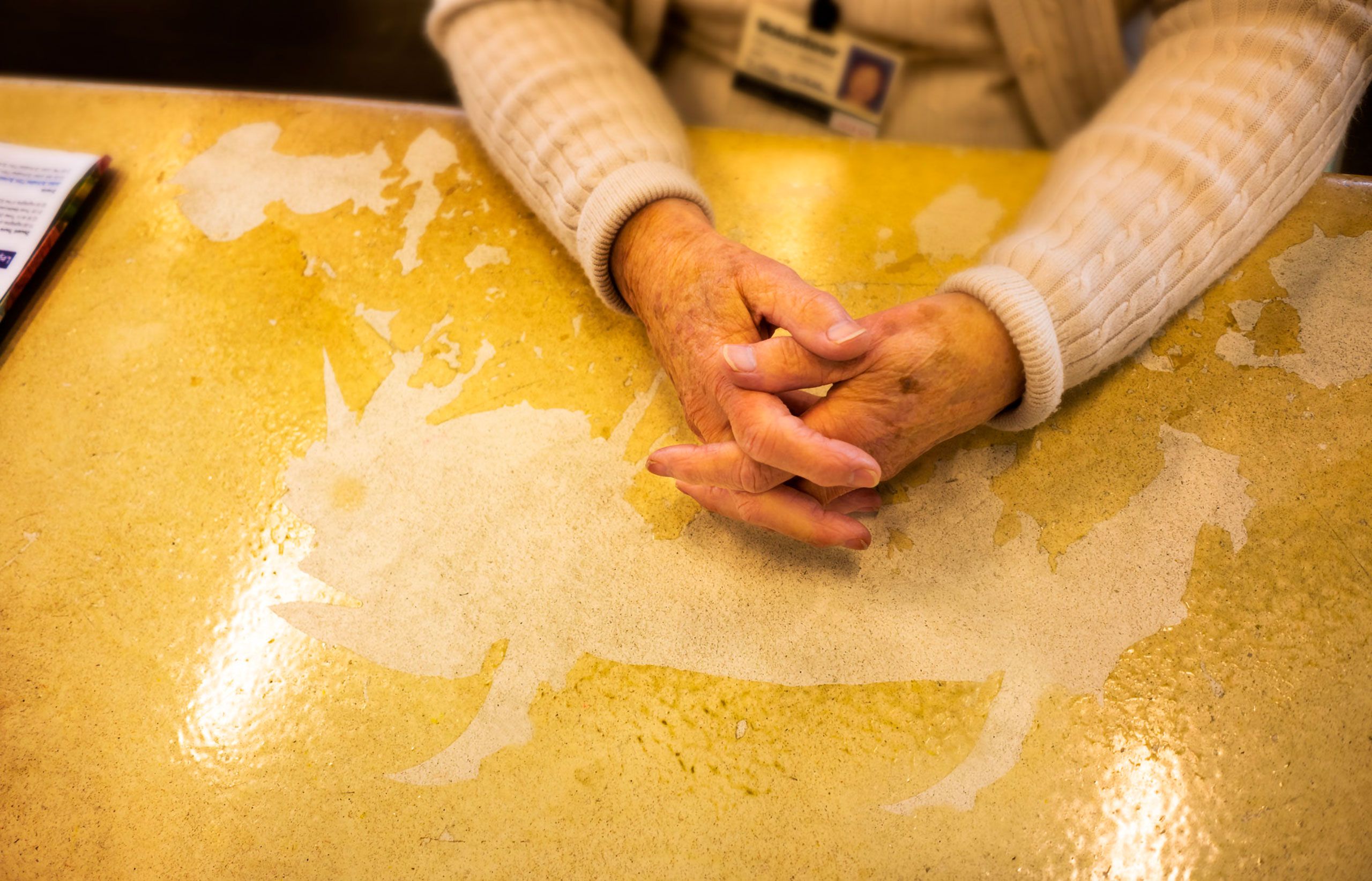 Wild beast on countertop at DeYoung Museum San Francisco 