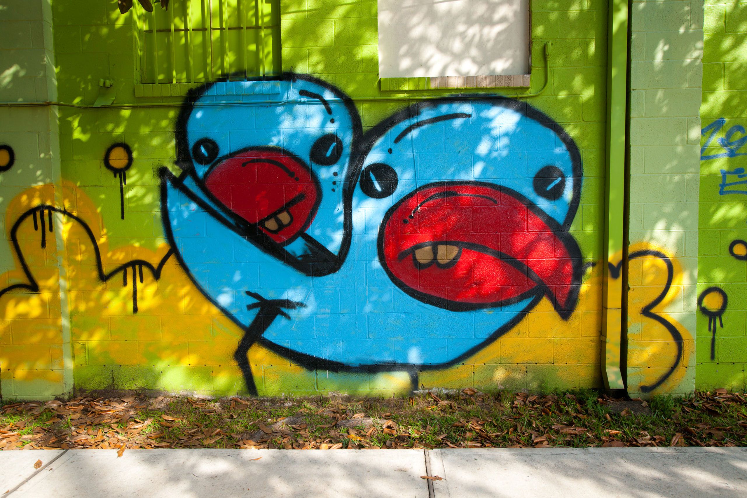 Bird Garfitti austin TExas