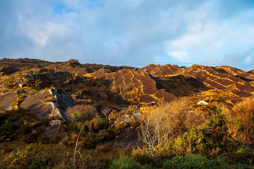 Damaged and burnout hills from a wildfire near Los Angeles California 