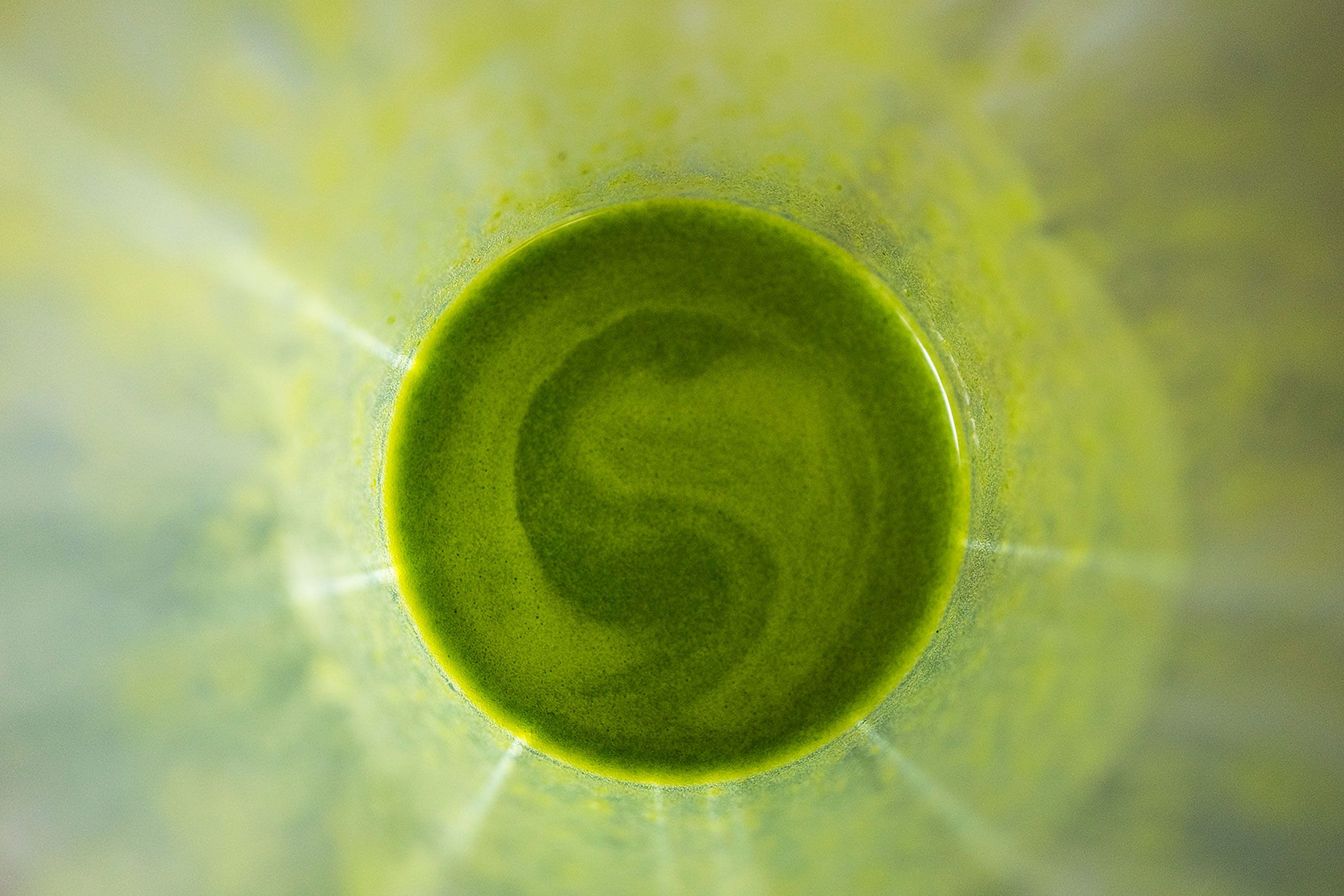 Glass of green slime breakfast drink in sink