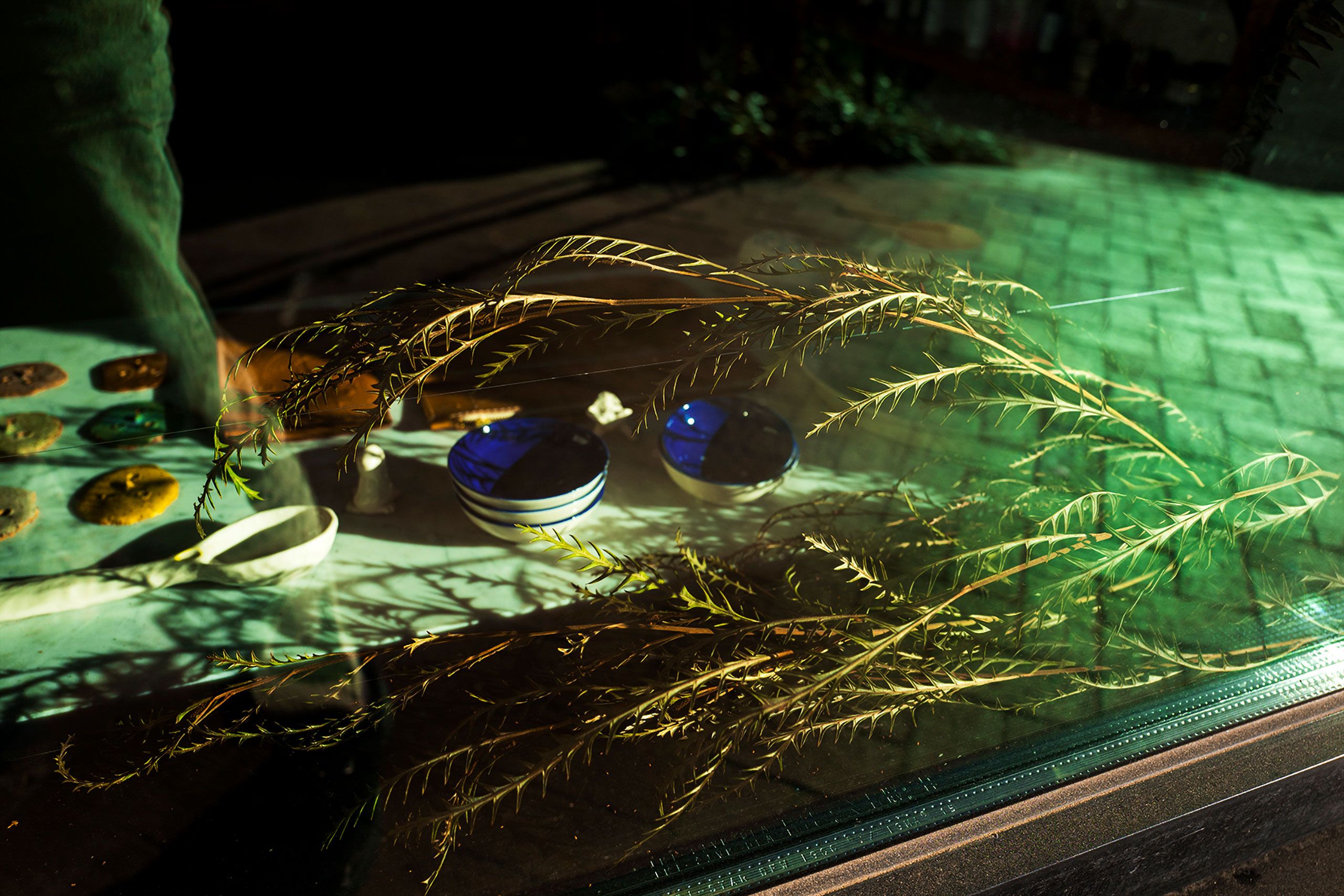 store window  New Orleans 