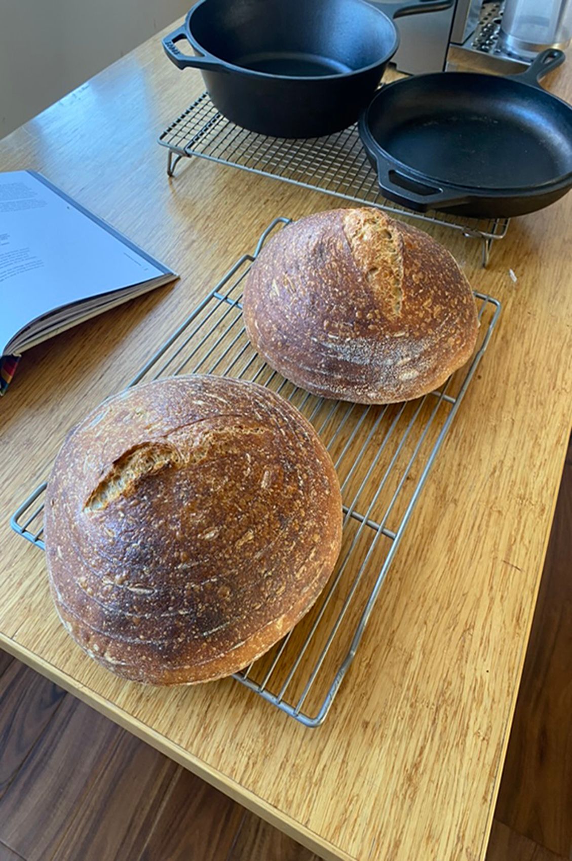 E67FC668-3540-4D32-872A-0A3C0CCDCA84_1_105_c copy.jpg