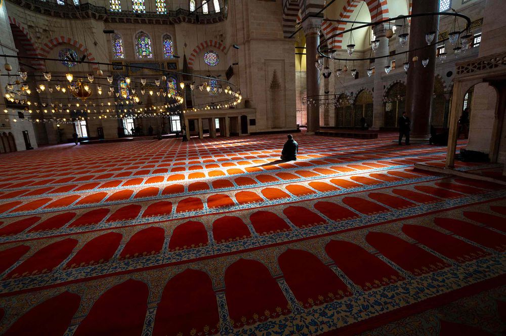 Inside   Sultanahmet The Blue Mosque facing Hagia Sophia chandelier down for celling and only one man praying Istanbul,Turkey