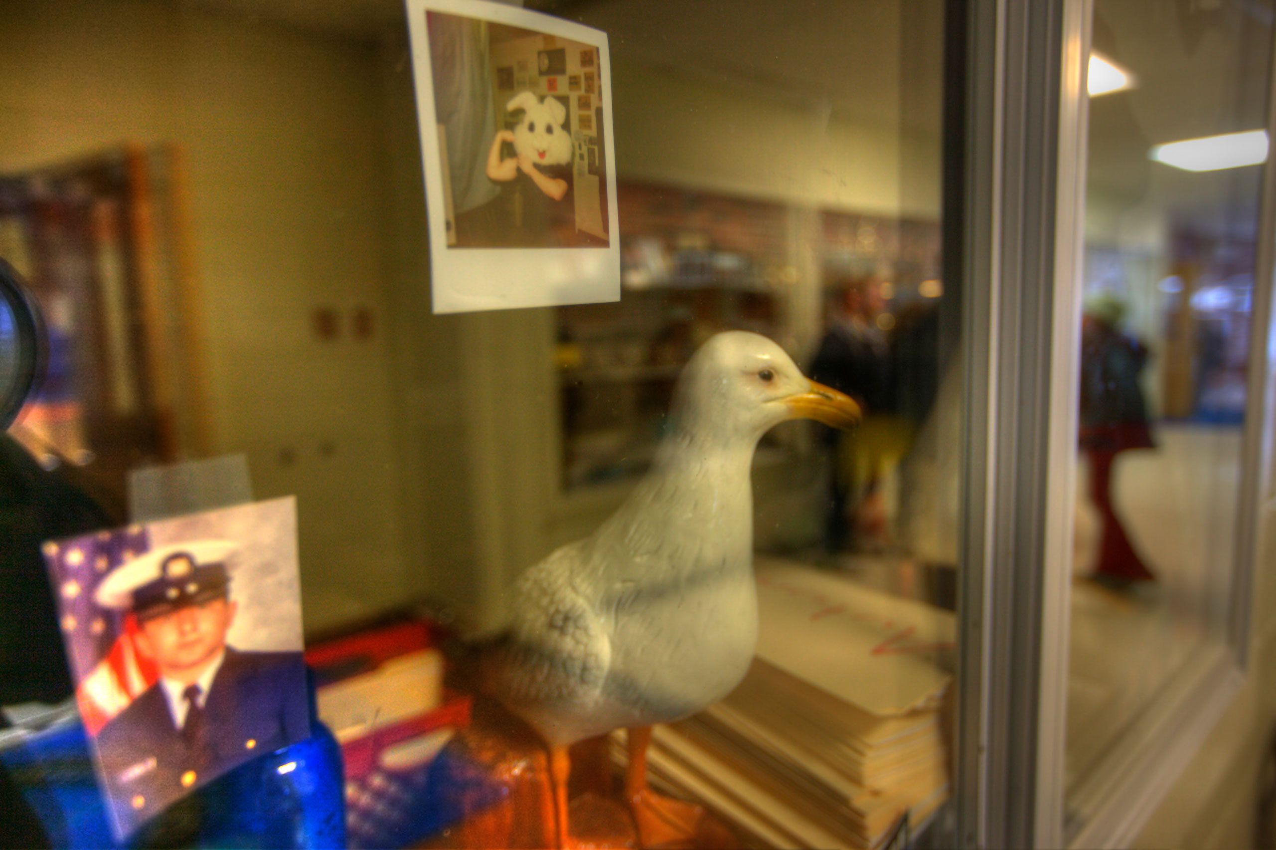 display case a biddeford high shoaled maine