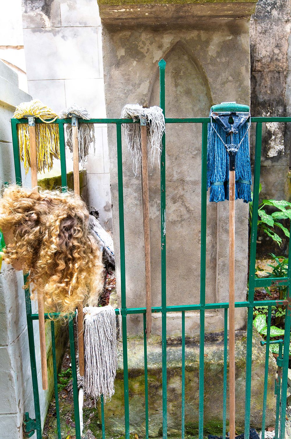 Mops and a mop heard Jack Roos in Barbados 