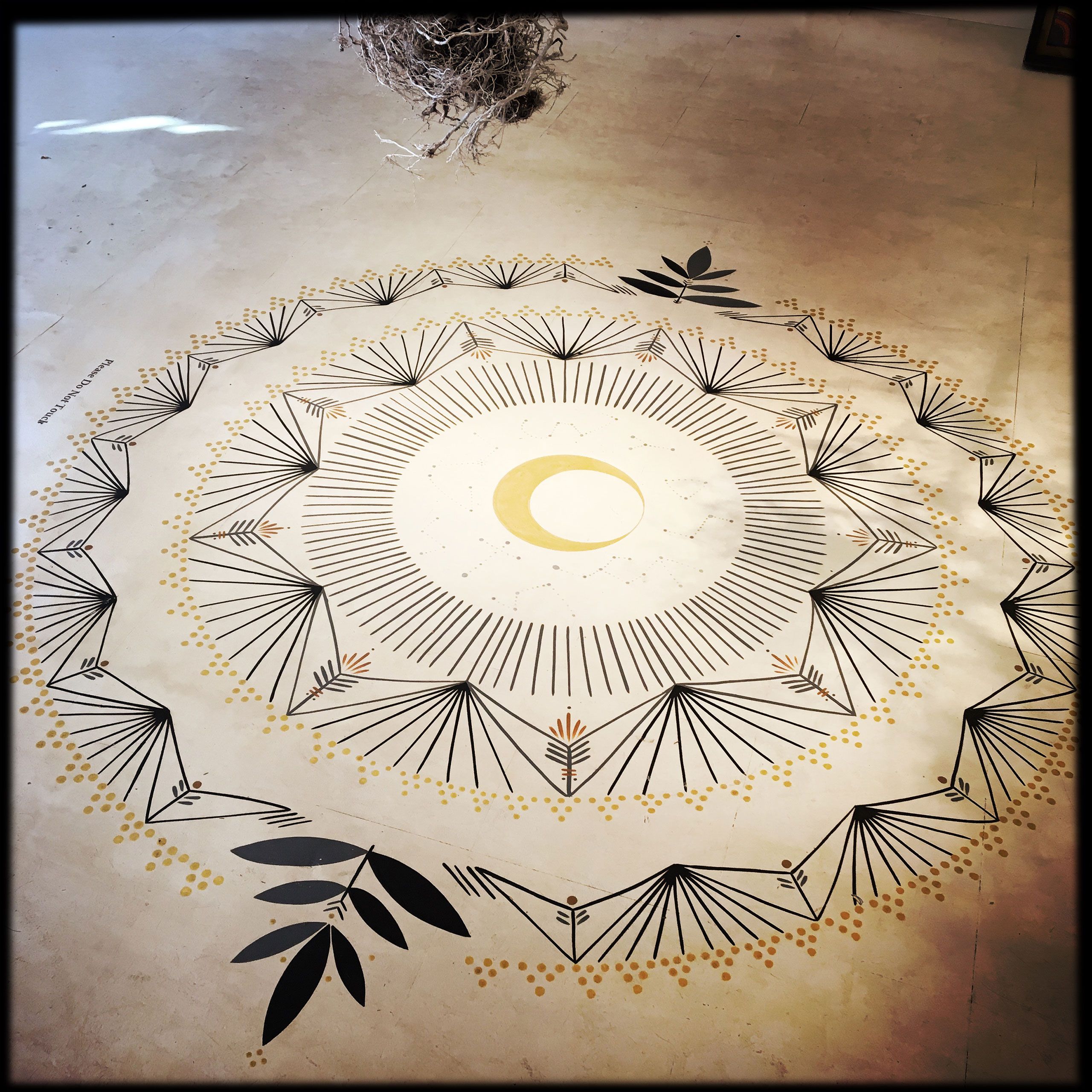 Antieau GalleryFloor in store in fresh quarter in New Orleans NOLA