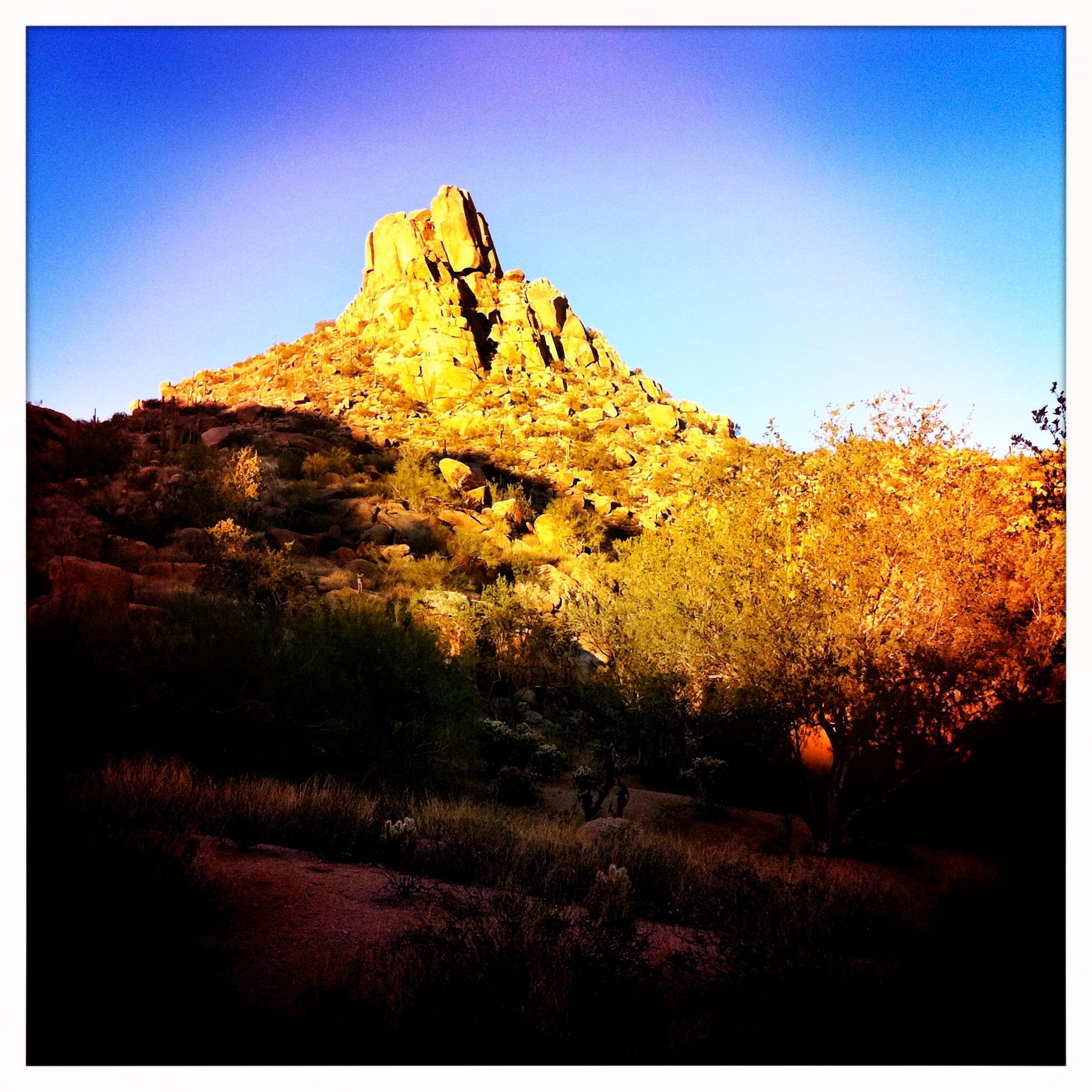pinnical peak scottsdale arizona