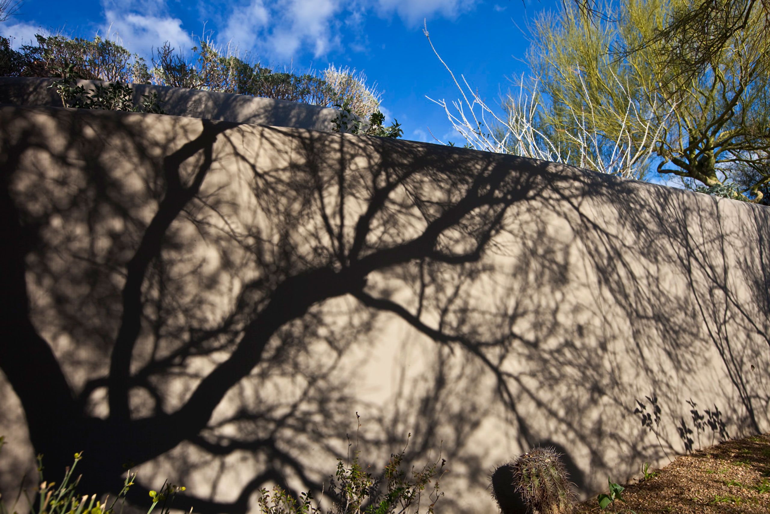 Wall in Scottsdale Arizona 