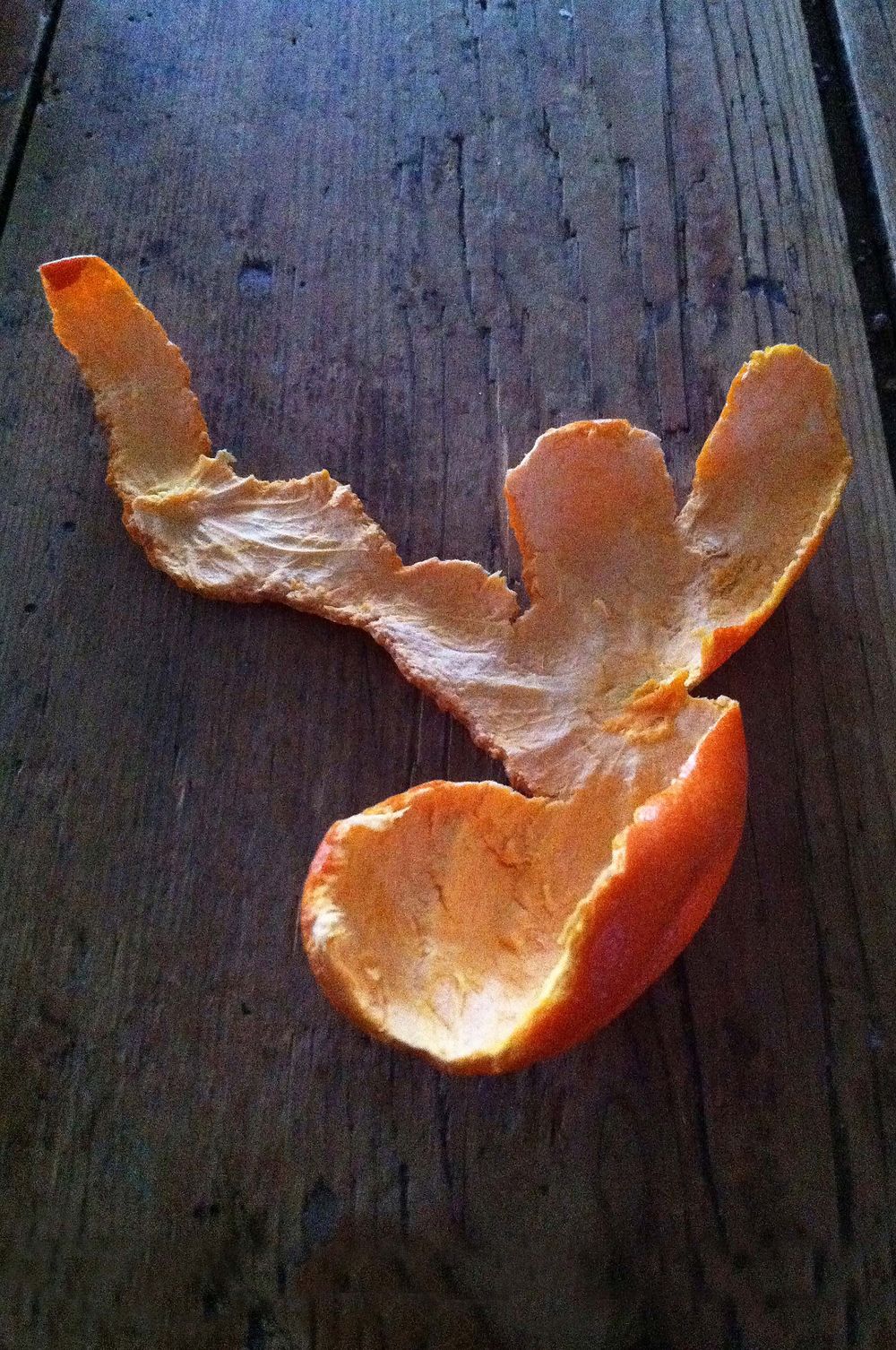 edvard munch the scream orange peal