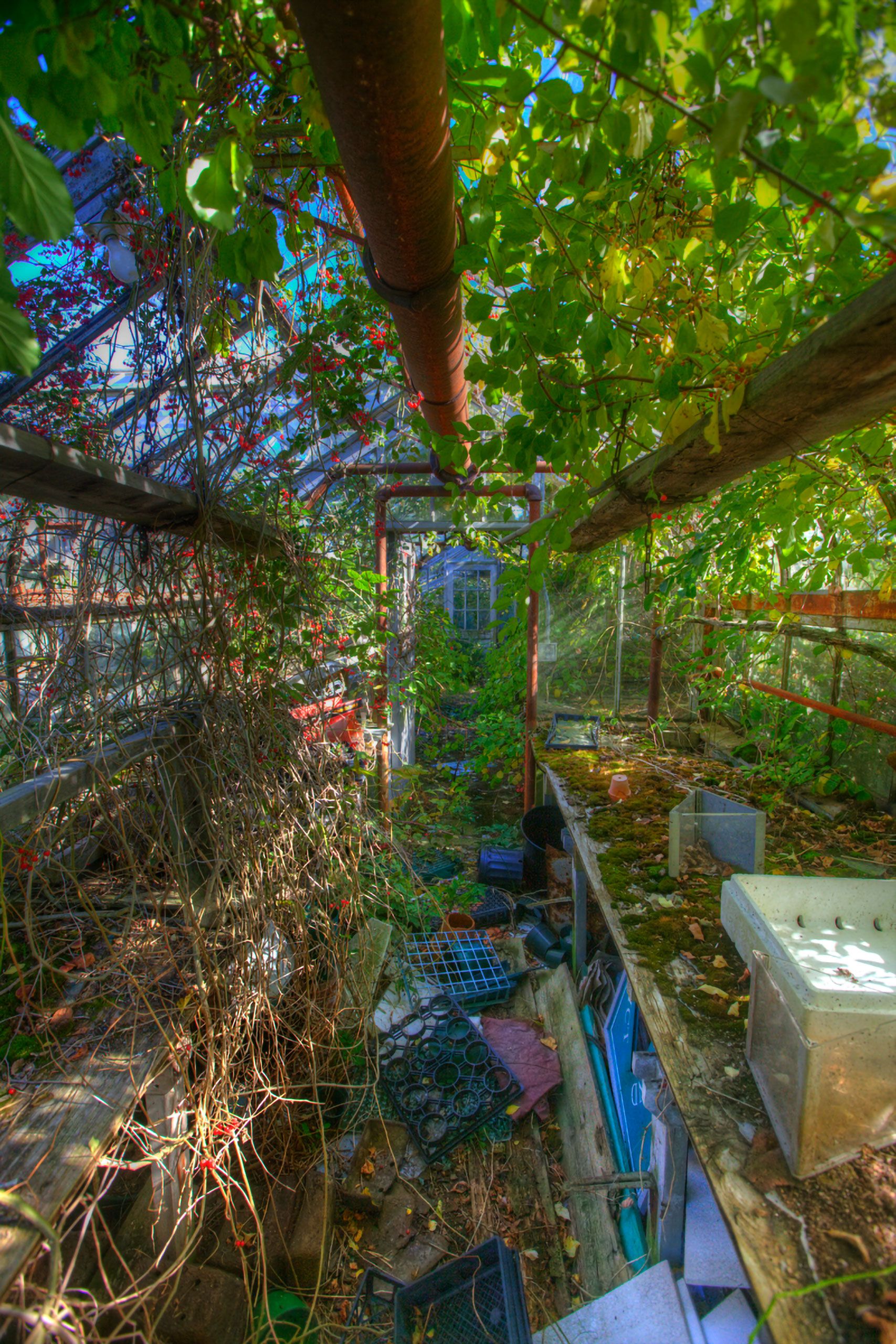 abandoned greenhouse Scarborough Maine