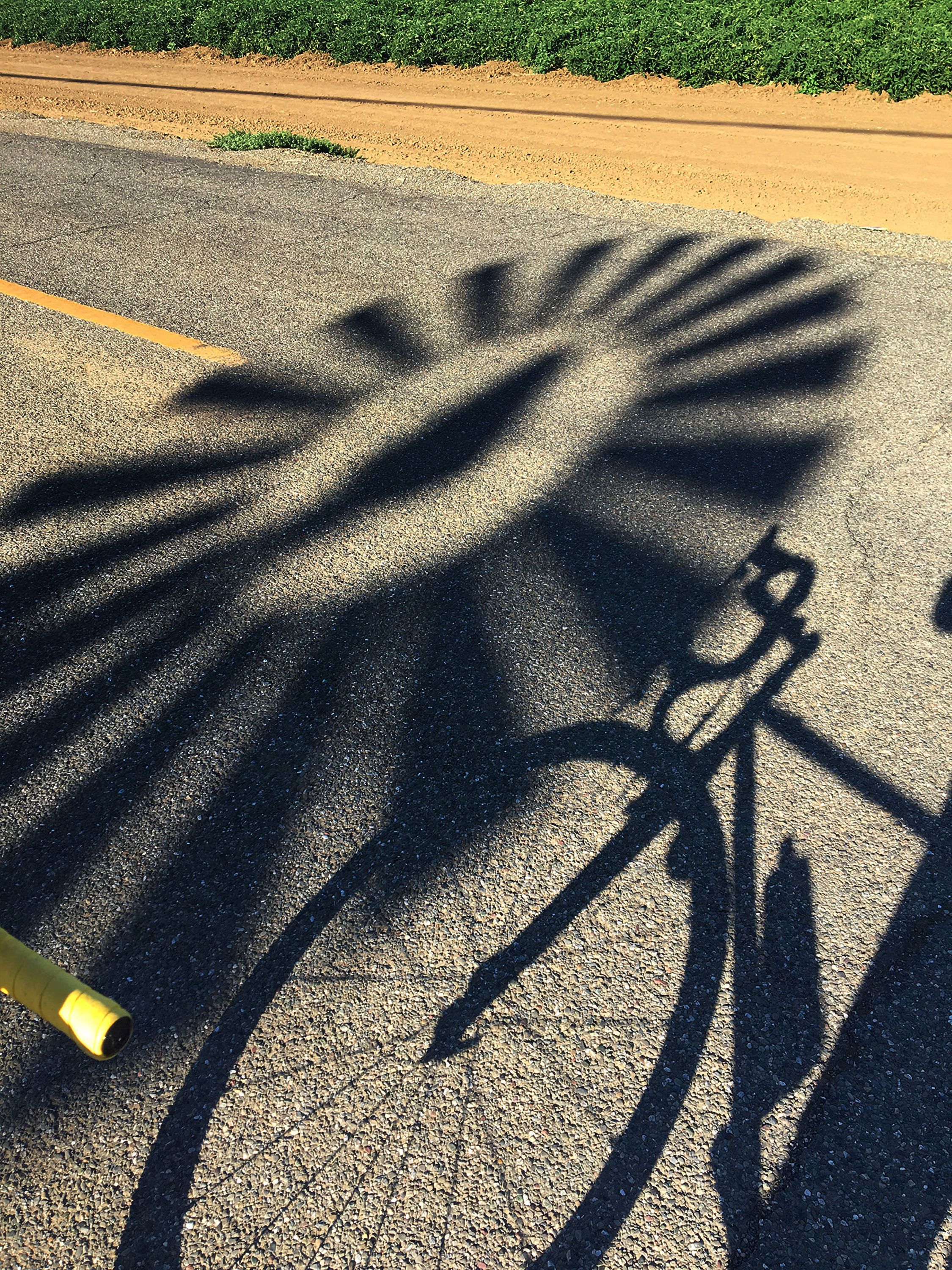 Bike and windmill shadows Davis Califrornia