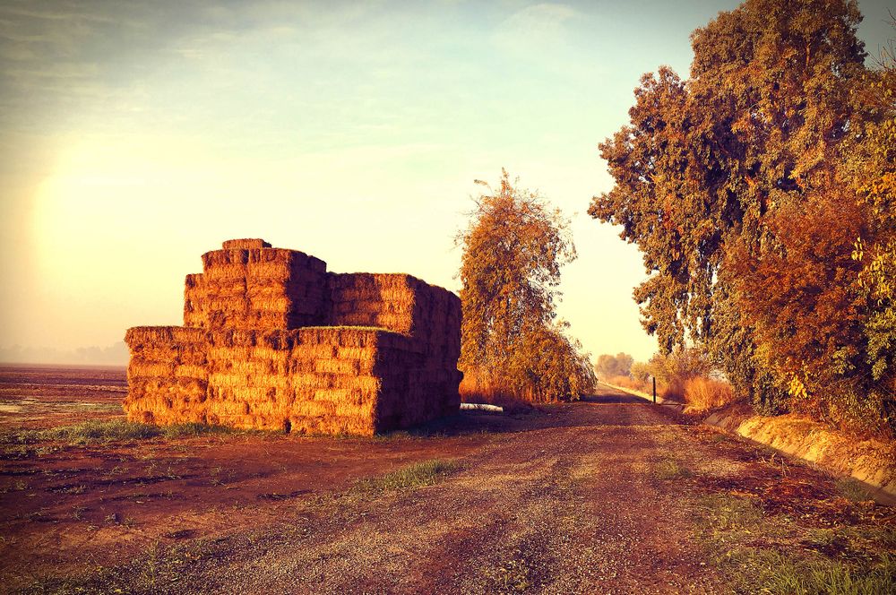 Leftover and abandoned hay stacks in Davis California