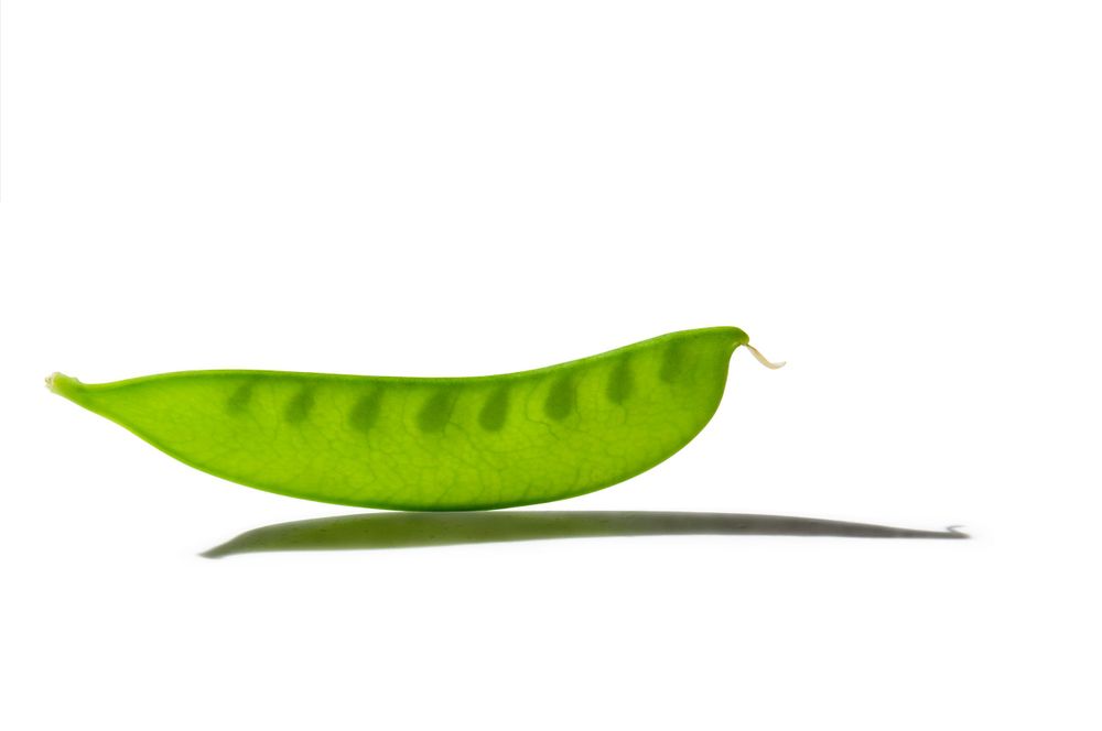 pea pod studio commercial photography  for Hannaford Trucking