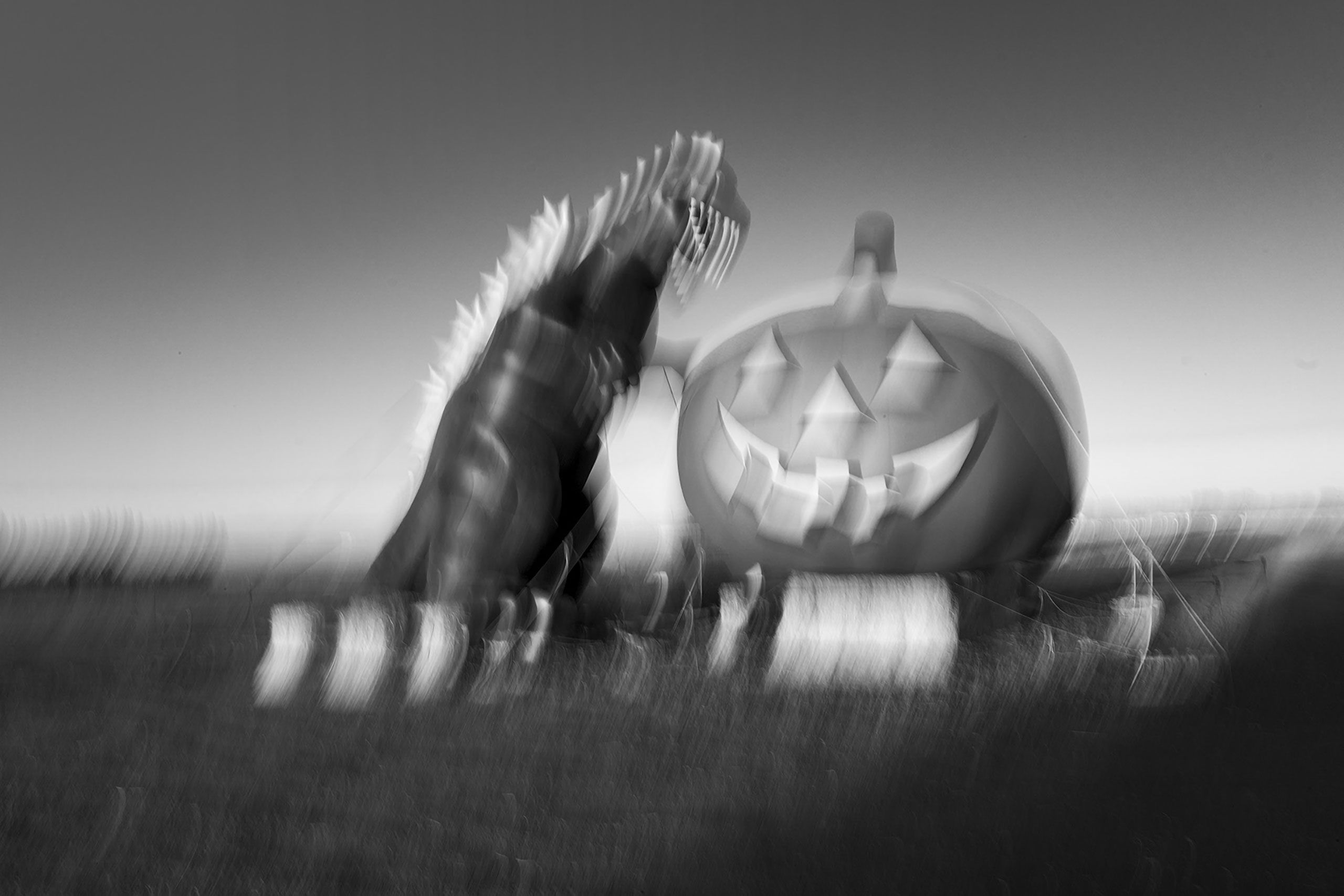 B& Giant inflatable pumpkin and T rex halloween 